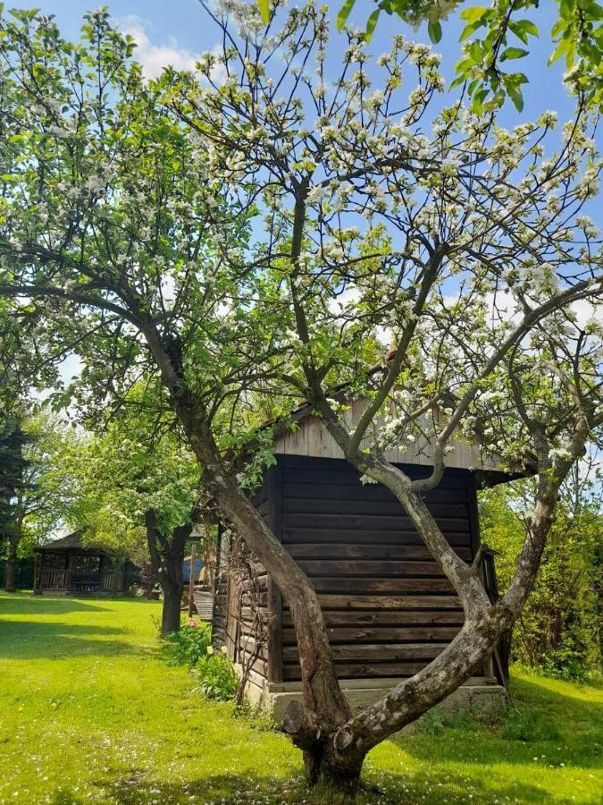 Agroturystyka Stokrotka Rymanów-Zdrój Bagian luar foto