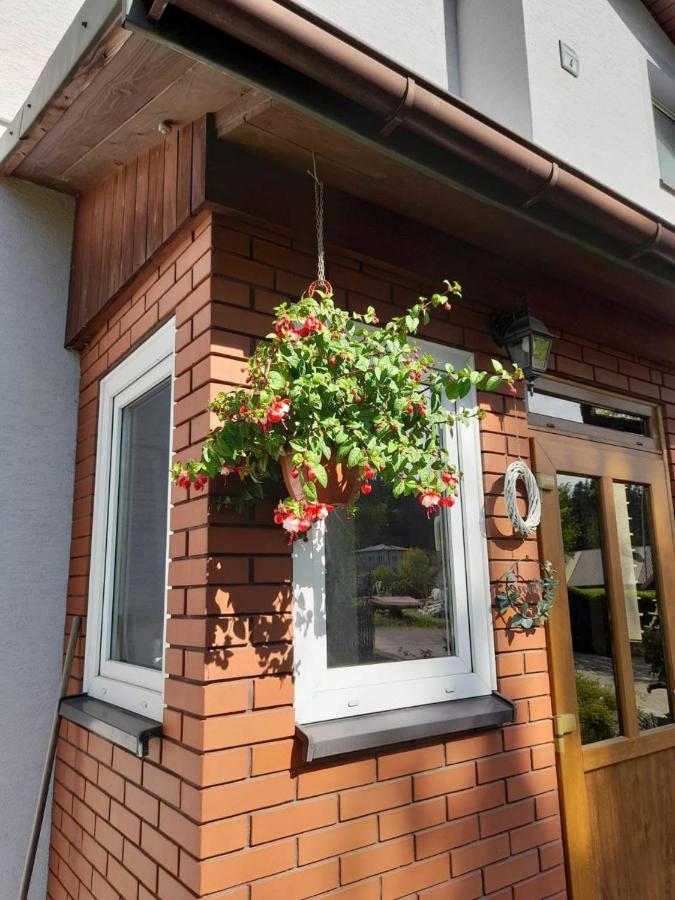Agroturystyka Stokrotka Rymanów-Zdrój Bagian luar foto