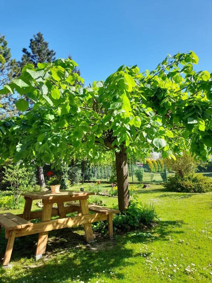 Agroturystyka Stokrotka Rymanów-Zdrój Bagian luar foto