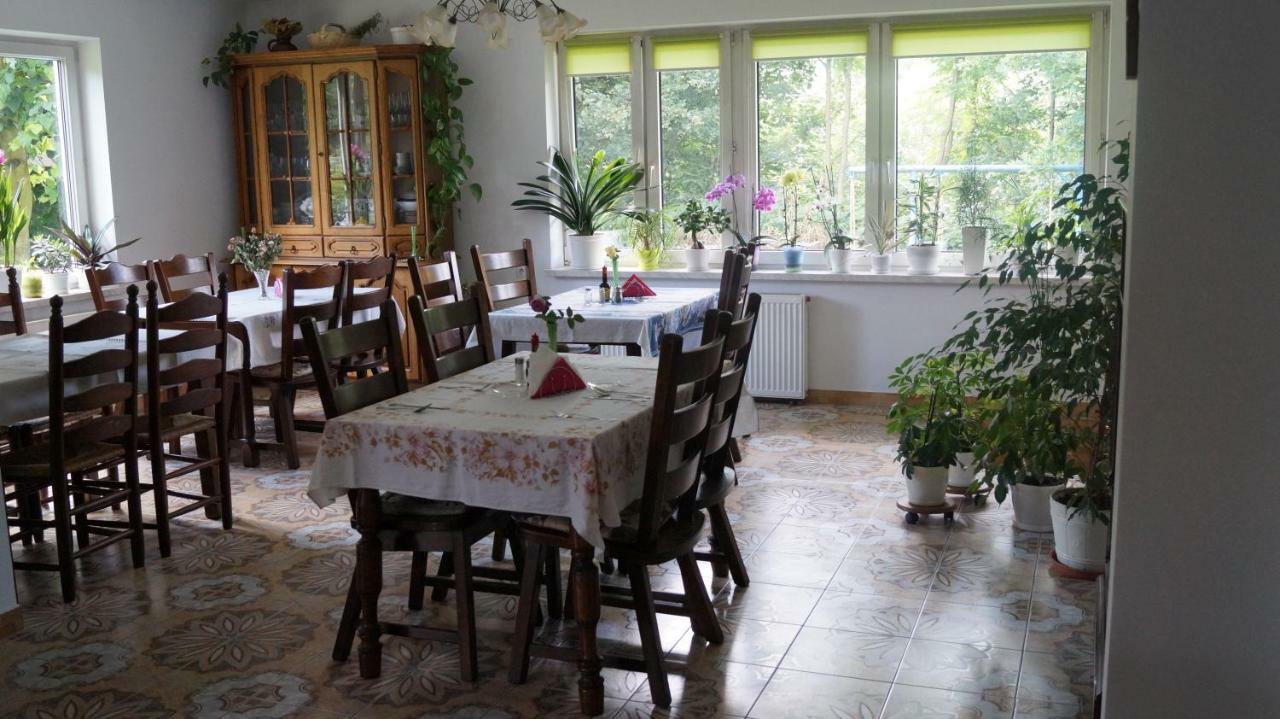 Agroturystyka Stokrotka Rymanów-Zdrój Bagian luar foto